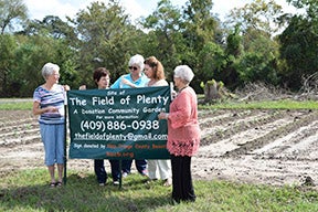 Leaf and Petal Garden Club donate to Field of Plenty ...