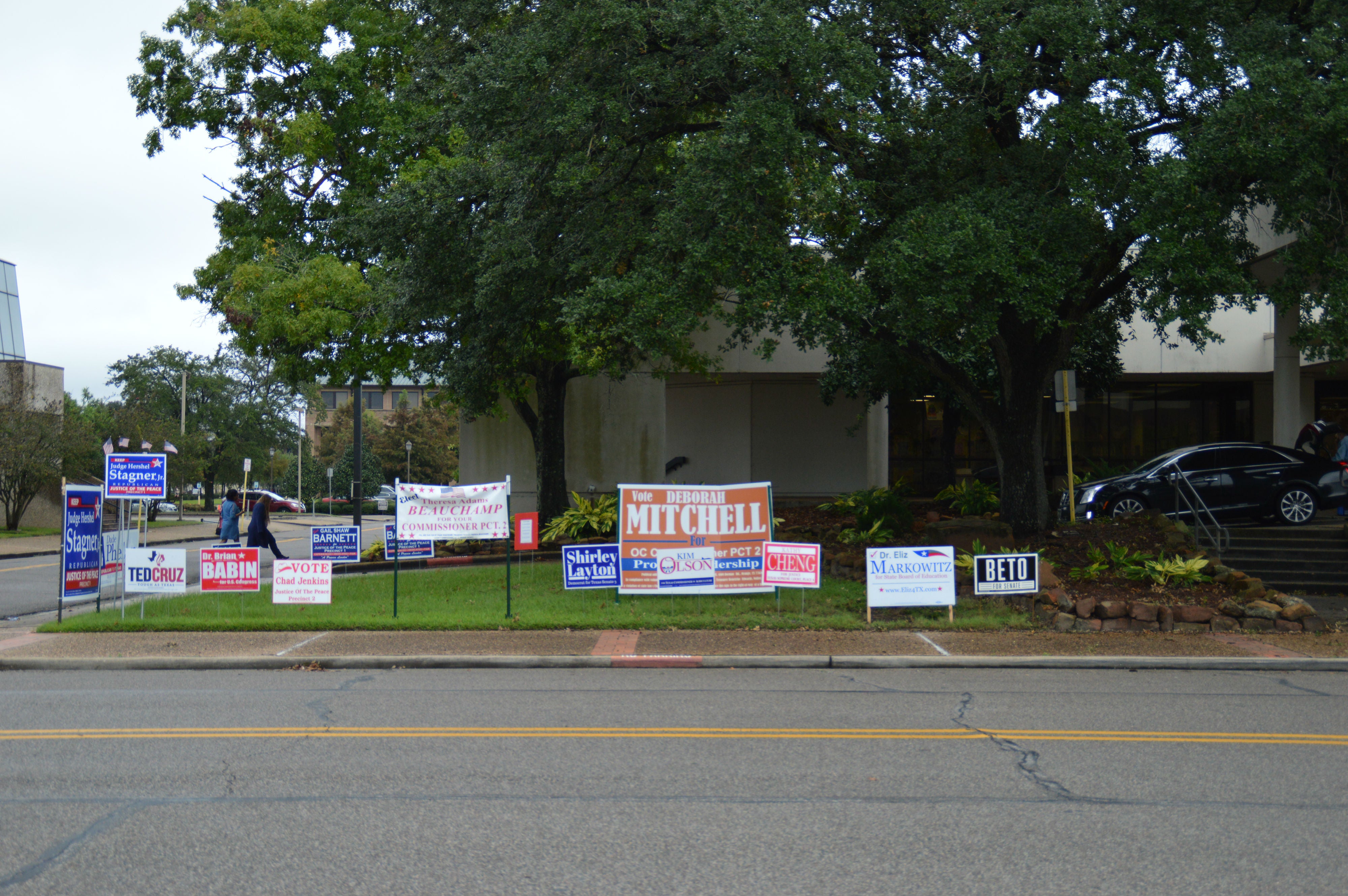 Election results langley walnut grove