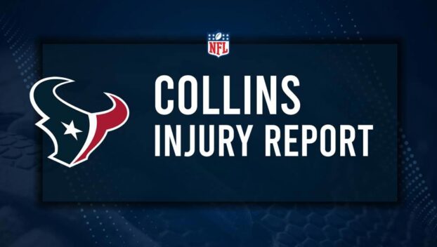 Will Nico Collins Play in Week 2? NFL Injury Status, News & Updates