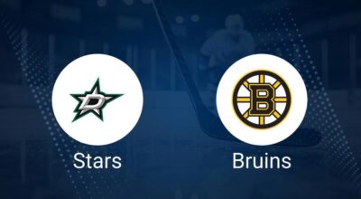 Stars vs. Bruins Injury Report Today - November 14