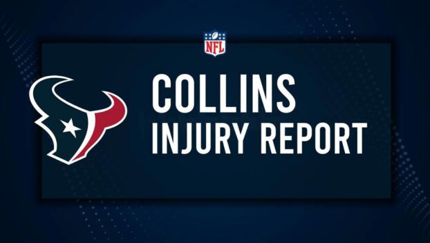 Will Nico Collins Play in Week 15? NFL Injury Status, News & Updates