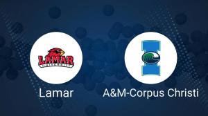 How to Watch Lamar vs. Texas A&M-CC Women's Basketball on TV or Live Stream - February 6
