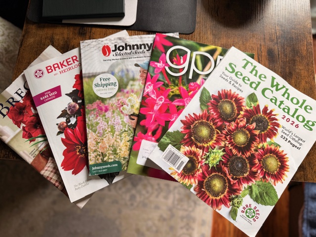 Gardeners’ Dream: Seed Catalog Review