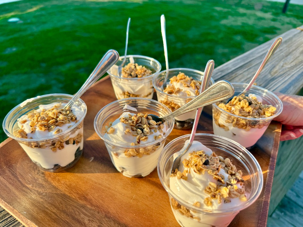 Culinary Thrill Seeking  – Beach Life upscales yogurt & cocktails